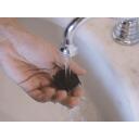 Beper Habeme trimmer 40.332, 0.3 kg, 165 mm, Ni-MH, 1000 mAh, 45 min, 480 min, 1 - 10 mm, pestav, eemaldatavad terad