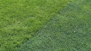 Lawn reinforcement net TR FLEX (2x30m) 61620308