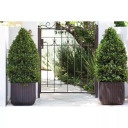 Keter lillepott Cube Planter M pruun 29201220590 39x39x39cm 2.3kg
