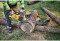 Akumuliatorinis grandininis pjūklas 54V 50cm  DCMCS575N-XJ DEWALT