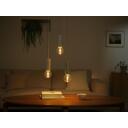 Philips Hue Gaismas spuldze Lightguide G95 8719514419155, 6.8 W, E27, 500 lm, 2000-6500 K, balss vadība