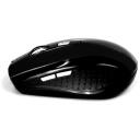 Media-Tech RATON PRO БЕСПРОВОДНАЯ ОПТИЧЕСКАЯ МЫШЬ MT1113K, 1600 dpi, 800 dpi, 5 кнопок, USB, беспроводная, оптический сенсор