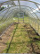 Теплица BALTIC LT 3 x 10м - поликарбонат 4мм 4779037491285 KLASIKA GREENHOUSE