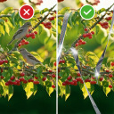 Putnu atbaidītājs - atstarojoša lente, 80 m BIOOGROD 731024 80000 cm x 0.1 cm x 4.8 cm