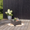 Aialaud California beež