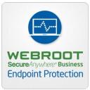 Webroot Biznesa galapunkta aizsardzība ar GSM konsoli 112260011A, 1 gads, 1-9 lietotāji, abonē&scaron;anas licence