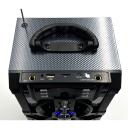 Media-Tech Караоке колонка MT3150, MT3150, 18W RMS, 800W PMPO, 4,5" низкочастотный, 3,8" среднечастотный, 4ч аккумулятор