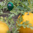 Augsnes pH testeris BIOOGROD 071000, analogs, 6x3.9x27 cm, 45.5 g