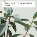 Масляный обогреватель мощностью 2000 Вт с тремя уровнями нагрева для помещений до 24–34 m³ белый AB-H2000DN Mill