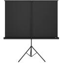 Elite Screens Pārnēsājamais projekcijas ekrāns ar statīvu T84UWV1, 84", 4:3, 6.68kg, matēts balts