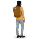 Mugursoma Arcane Large Day, Brindle Brown Heather, 0843820160215 Osprey