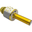 Denver Juhtmevaba mikrofon KMS-20GOMK2 111250000090, 5W, 1200mAh, Bluetooth, AUX, USB/SD pesad