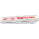 White Shark Klaviatūra NAGAMAKI-W-US-RED.SW, 29.2cm, 10.3cm, 2.5cm, 0.32kg, USB-C, RGB apgaismojums, 62 taustiņi