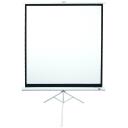 Elite Screens Projekcijas ekrāns ar statīvu T120NWV1, 120", 4:3, redzamais platums 244 cm, balts