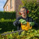 Hedge trimmer 500W, POWERPLUS, POWEG20071, 550 mm blade length, electric, safety brake