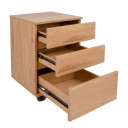 Atvilktņu kaste GEORGIA 40x40xH62cm, ozols 45069