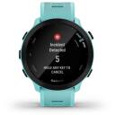 Garmin Forerunner 55, 010-02562-12, 42mm, 2.64cm, 208x208px, GPS, время работы аккумулятора 14д, 20ч GPS