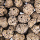 Leca clay pebbles 10-20 mm 4l BIOOGROD 749950