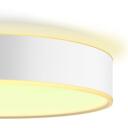 Philips Hue griestu lampa, Enrave XL, 8718696176474, 48 W, 2200-6500 K, Bluetooth, gaismas slēdzis, dimmējama