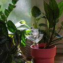 Plant irrigator - leaf transparent with ceramic spike, 120 ml BIOOGROD 720988, 8.8x6x20 cm, 37 g