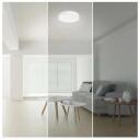 Emos Nutikas LED valgusti ZM5192, 45 W, 2 700&ndash;6 500 K, 2 700 lm, Wi-Fi, reguleeritav, h&auml;&auml;le juhtimine