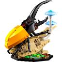 Lego LEGO IDEAS 21342 Kukaiņu kolekcija, 1111 elementu, 18+ gadi, instrukciju lapa