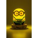 Paladone Minions Icon Light PP13259MN, 9.5cm, 1-2W, 3V, 1xLED, mitmev&auml;rviline, vabalt seisv