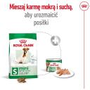 Royal Canin Mini Pieaugu&scaron;ajiem 8+ IMPORT-4989, 800 g, 27%, 16%, 6.3%, 1.5%, vistas gar&scaron;a, bez sojas, bez konservantiem