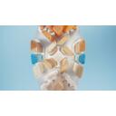Philips Hambaharja pead HX9094/87, 4 tk, Valge, Pehme harjaste j&auml;ikus, 62000 vibratsiooni/min, 3 kuu vahetus