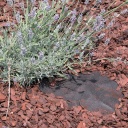 Lausriie multšimiseks (geotekstiil) FULL COVER 0,9x5 m 73304059