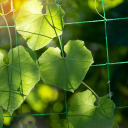 Climbing Plant Support Net BIOOGROD 722603 1.8 x 2.7 m 10 x 10 cm UV-resistant tetoron green