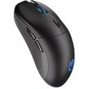 Endorfy GEM Plus bezvadu pele EY6A013, 26000 DPI, 6 pogas, optiskā, USB Type-C, melna, regulējams polling rate, RGB apgaismojums