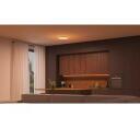 Philips Hue Datura laelamp, 8720169277618, 48 W, 3300 lm, modernne, dimmerdatav, LED