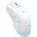Baracuda Pele TURTLE-W BGM-122, 3200 DPI, 6 pogas, 95 g, bezvadu, RF 2.4 GHz, apgaismojums