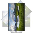 Dell P2425DE 210-BRDM_5Y, 24", 2560 x 1440, 350 cd/m&sup2;, 100 Hz, 5 ms, HDMI 1, USB-C 90W, VESA 100x100, Поворот, Эргономика