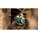 Akumuliatorinsi šakų pjūklas EasyChain18V-15-7, 1x2,5Ah, 06008B8900 BOSCH