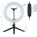 Tracer Кольцевая Лампа TRAOSW46747, 10W, 600-1300lm, 120 LED, 3 цветовые температуры, 30 вариантов освещения