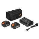 DAST 4242Li SET, DAEWOO, DAST 4242Li SET, 42 (21+21) V, 420 мм, 220 мм, 1-6 м, 8,8 кг