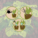 Plant irrigator - leaf transparent with ceramic spike, 120 ml BIOOGROD 720988, 8.8x6x20 cm, 37 g