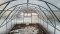 Siltumnīca BALTIC LT 3 x 12m - 4mm polikarbonāta 4779037491469 KLASIKA GREENHOUSE