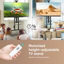 Onkron TV alus TS1881E-B, ekraani suurus 127-218 cm, maksimaalne koormus 105.9 kg, k&otilde;rguse reguleerimine 1350-1650 mm, 2 riiulit