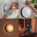 Philips Hue Āra sienas lampa Daylo 8718696174401, 15 W, 2000-6500 K, LED, IP44, 1060 lm