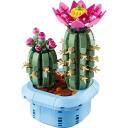 Lego BOTANICALS 11509 Ziedo&scaron;s kaktuss, 482 elementu, 9+ gadi, instrukcijas lapa
