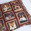 Spilvens HOLLY 45x45cm, suņi rāmī P0069438