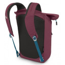 Mugursoma Arcane Tote Pack, Alium Red/Brindle Brown, 0843820166972 Osprey