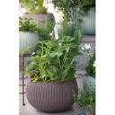 Riputatav lillepott Cozy M riputuskomplektiga lilla KETER 29202379610 36x36x22,5 cm