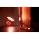 Philips Hue Iris galda lampa, 8719514411586, 8.2 W, 570 lm, Bluetooth, Zigbee, IP20, 2 m strāvas kabelis