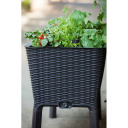 Keter Easy Grow Rattan Waves hall 29194592939, 114 x 49,3 x 75,7cm, 120L