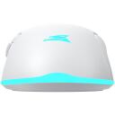Baracuda Pele TURTLE-W BGM-122, 3200 DPI, 6 pogas, 95 g, bezvadu, RF 2.4 GHz, apgaismojums