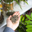 Expanded Clay Aggregate for Potted Plants, Gardening, and Glass Terrariums BIOOGROD 749910 4-10 mm 2 L